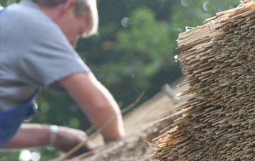 professional Hendredenny Park thatchers