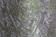 Hendredenny Park fibreglass roof work